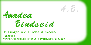 amadea bindseid business card